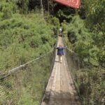 Lemuy Island Tour from Castro - Who Should Take This Tour?