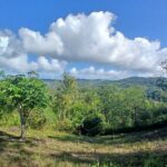 Lethe Mountain Valley Hiking - The Value of This Tour