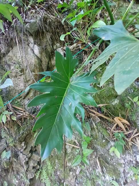 Lethe Mountain Valley Hiking - A Deep Dive into Lethe Mountain Valley Hiking