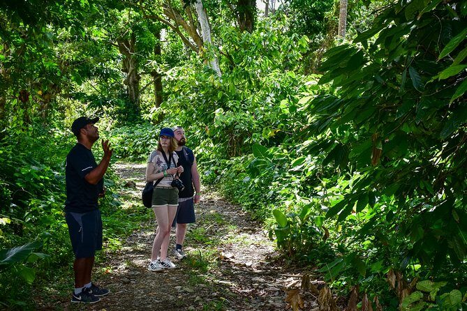 Let's do hiking in Punta Cana - The Authentic Experience: What Travelers Say