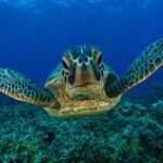 Liberia Airport Private Transfer To Gulf of Papagayo Costa Rica - The Route and Stops