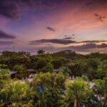 Liberia Airport To Tamarindo Private Transfer - Making the Most of Your Costa Rican Arrival