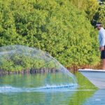 Light Tackle Tarpon Fishing - Final Thoughts