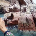 Lima and Nasca : Ballestas -Huacachina-Nasca Lines - Who Should Consider This Tour?