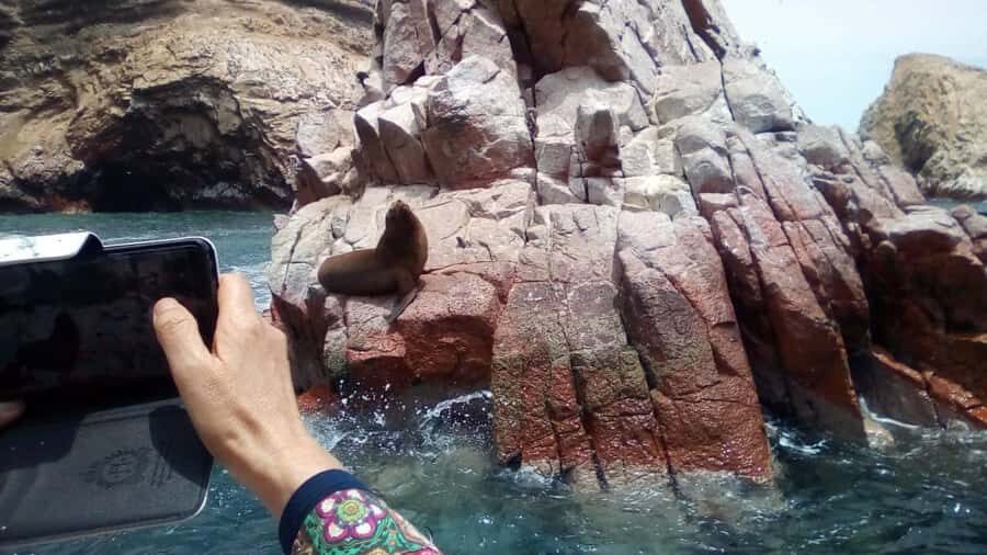 Lima and Nasca : Ballestas -Huacachina-Nasca Lines - Who Should Consider This Tour?