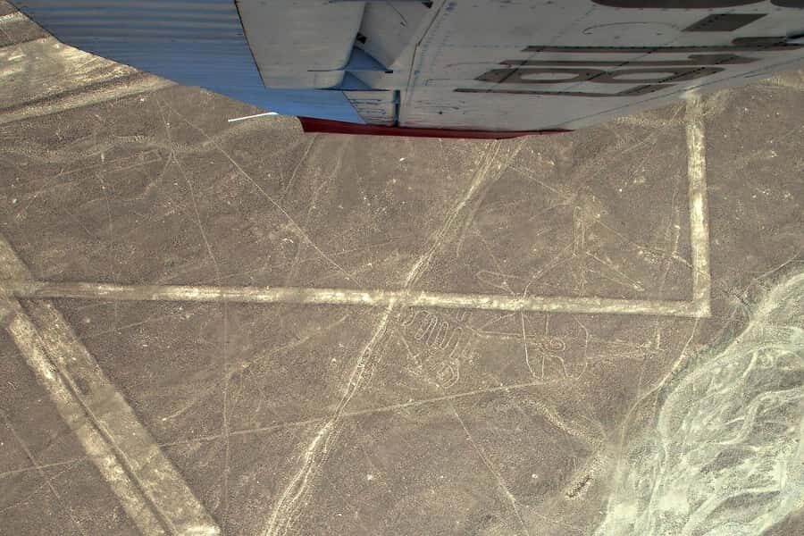 Lima: Ballestas Islands, Winery and Nazca Lines Private Tour - Breaking Down the Experience