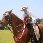 Lima: Buffet Lunch, dance show : Peruvian Paso Horses : - Key Points