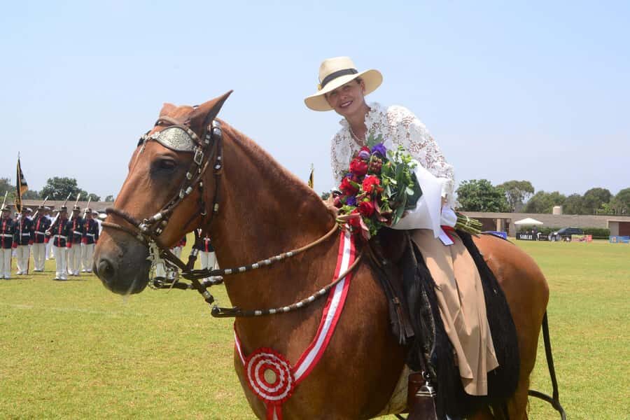 Lima: Buffet Lunch, dance show : Peruvian Paso Horses : - Key Points