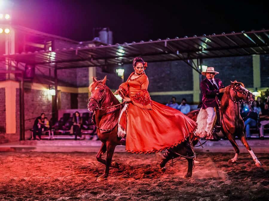 Lima: Buffet Lunch , dance show | Peruvian Paso Horses | - A Closer Look at the Experience