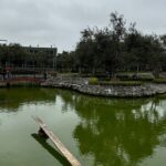 Lima Districts: Miraflores, Barranco and San Isidro - Transportation and Group Size