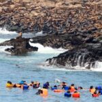 LIMA|| Enjoy an exciting excursion to the Palomino Islands - Who Will Love This Experience?