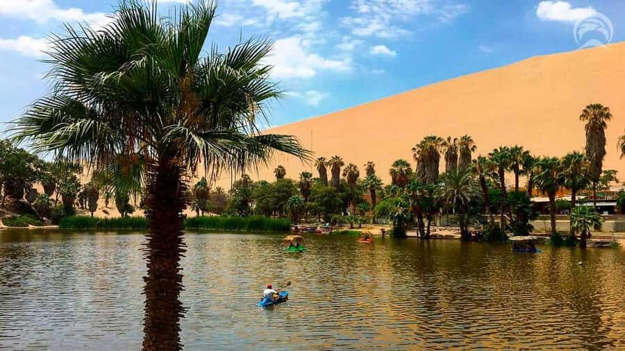 Lima: ICA HUACACHINA, PARACAS AND BALLESTAS ISLANDS - 1 DAY - What the Tour’s Really Like: Pros and Cons