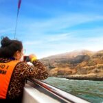 Lima | Islas Palomino Tour | Swim with Sea Lions - Who Should Consider This Tour?