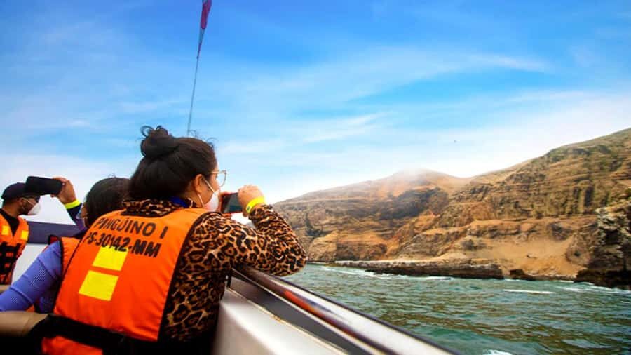 Lima | Islas Palomino Tour | Swim with Sea Lions - Who Should Consider This Tour?