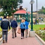 Lima: Local Wine Tour - Authenticity and Impact