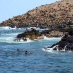 Lima: Palomino Islands Excursion & Swimming with Sea Lions with Hotel Transfers - Who Is This Tour Best For?