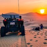Lima: Paracas and the Huacachina Oasis Guided Day Tour - What Makes This Tour Stand Out