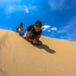 Lima : Paracas & Huacachina- Day to Islas Ballestas & Sandboard - Who Should Consider This Tour?