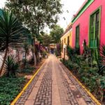 Lima : Tour of colourful and bohemian Barranco and Callao - Who Should Consider This Tour?