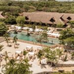 Live Makani for two - Summary: Is It Worth It?