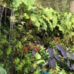 Lo mejor para hacer en Cali - Paseo de las Mariposas - Why Choose Paseo de las Mariposas?