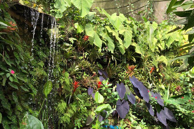 Lo mejor para hacer en Cali - Paseo de las Mariposas - Why Choose Paseo de las Mariposas?