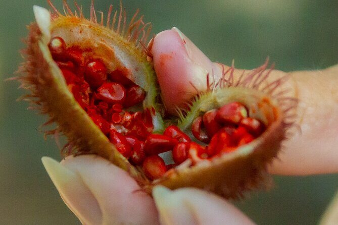 Local Excursion || Jungle Safari Excursion - Who Should Consider This Tour?