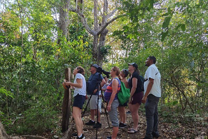 Local Sightseeing & Mangrove Tour - What You Can Expect From the Experience