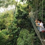 Locally Guided Tambopata Amazon Jungle Tour (4 days) - An In-Depth Look at the 4-Day Amazon Jungle Tour