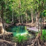 Los Haitises and Cayo Levantado Tour - Who Will Enjoy This Tour?