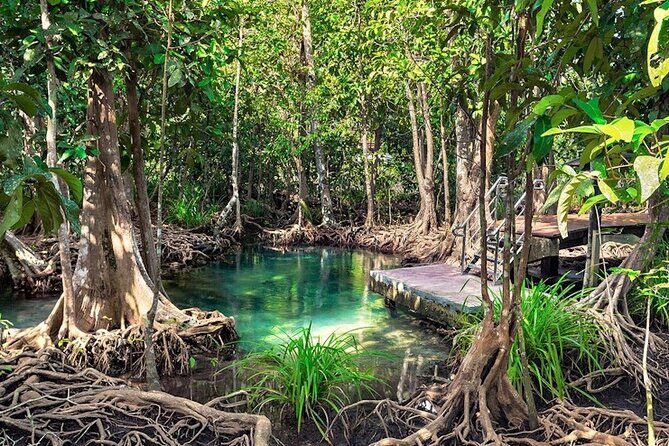 Los Haitises and Cayo Levantado Tour - Who Will Enjoy This Tour?