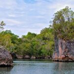 Los Haitises Boat Ride and Caño Hondo Natural Pools - What Travelers Are Saying