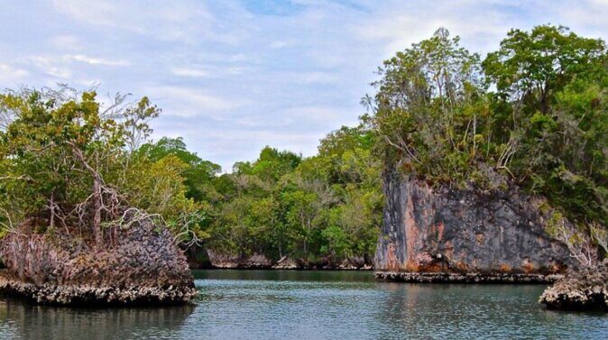 Los Haitises Boat Ride and Caño Hondo Natural Pools - What Travelers Are Saying