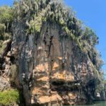 Los Haitises: Cayo Levantado, Haitises & Deluxe Rooms - Why This Tour Offers Real Value