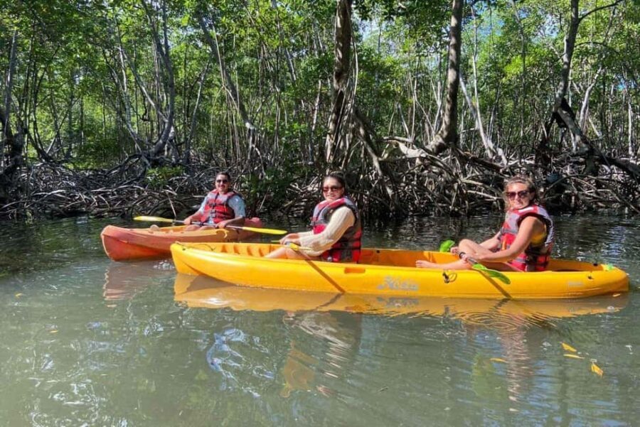 Los Haitises: Kayaking, Hiking, and Caving Tour with Lunch - Who Is This Tour Perfect For?