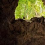 Los Haitises National Park: Boat Tour - FAQs