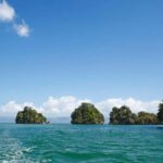 Los Haitises National Park: Boat Tour with Caves Visit - Exploring Los Haitises: A Deep Dive
