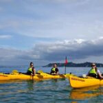 Los Haitises National Park: Kayaking and Hiking Tour - An In-Depth Look at the Los Haitises Experience