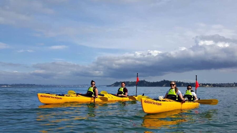 Los Haitises National Park: Kayaking and Hiking Tour