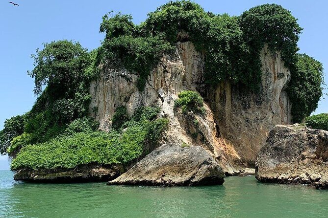 Los Haitises National Park Private boat Hiking 4 Hours Moist Forest Trail. - What to Expect and How It Unfolds