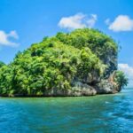 Los Haitises National Park: Private Boat Tour from Caño - What to Expect on Your Tour