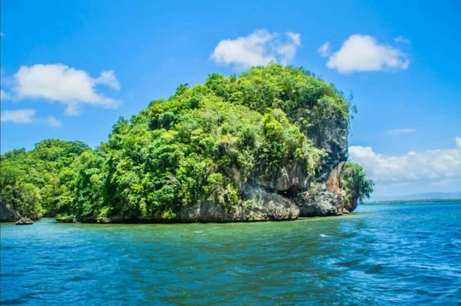 Los Haitises National Park: Private Boat Tour from Caño - What to Expect on Your Tour
