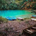 Los Haitises National Park private boat trip Caves and Mangrooves - Detailed Breakdown of the Experience