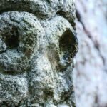 Los Haitises National Park private Kayaking 4 hours trip Mangroves and Cave - Frequently Asked Questions (FAQs)