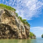 Los Haitises National Park Tour from Las Terrenas or Samana (Half Day Trip) - Who Is This Tour Best Suited For?