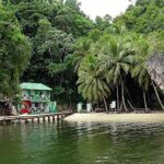 Los Haitises National Park Tour with Lunch from Punta Cana - An In-Depth Look at the Los Haitises Tour