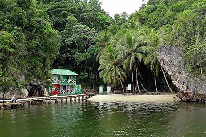 Los Haitises National Park Tour with Lunch from Punta Cana