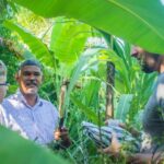 Los Haitises Park, Yanigua Waterfall, & Montaña Redonda Tour - What Travelers Say