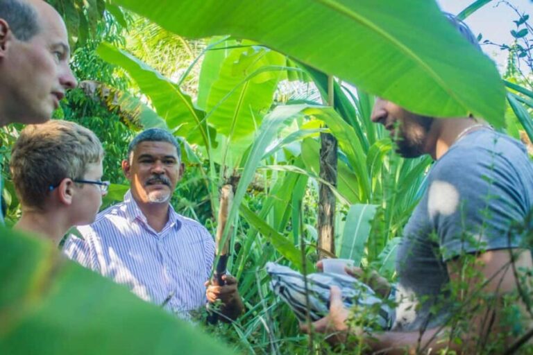 Los Haitises Park, Yanigua Waterfall, & Montaña Redonda Tour - What Travelers Say