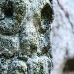 Los Haitises Private Boat Tour - Frequently Asked Questions